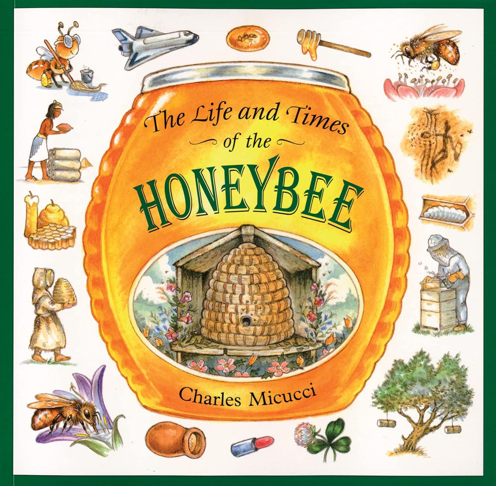 The Life and Times of the Honeybee (Paperback Picture Book)