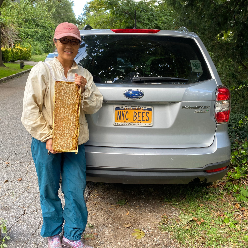 The Joys of Beekeeping - HoneyGramz