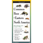 Common Bees of Eastern North America Folding Guide