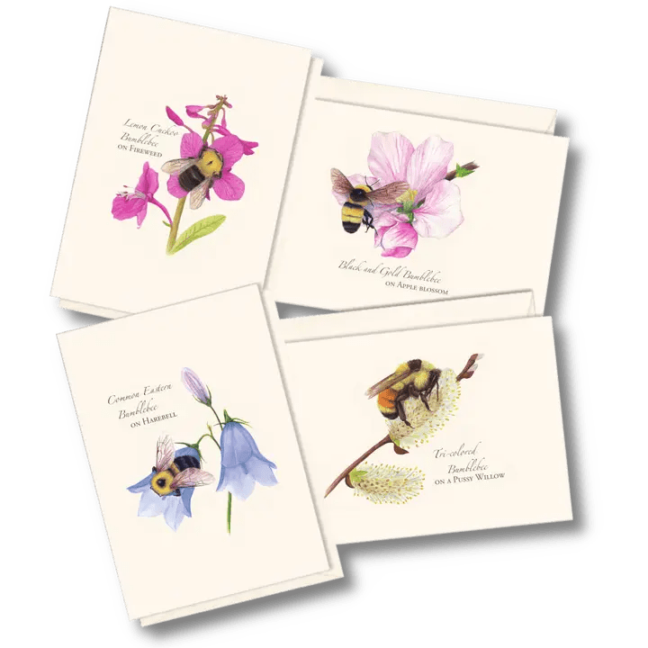 Spring Bee Note Cards - HoneyGramz