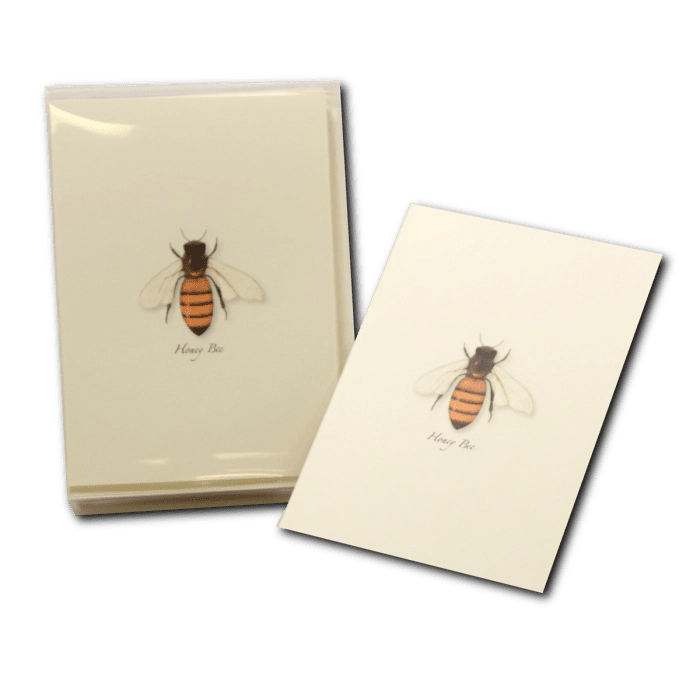 Honey Bee Note Cards - HoneyGramz
