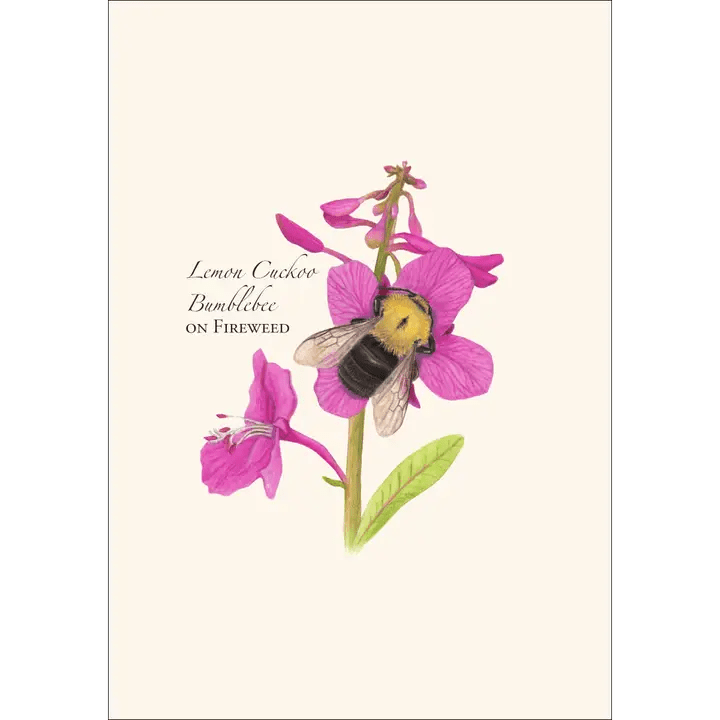 Spring Bee Note Cards - HoneyGramz