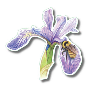 Bumblebee on Iris Sticker