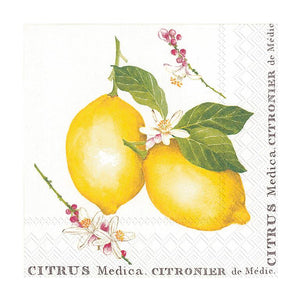Lemon Citrus Medica Paper Napkin