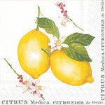 Lemon Citrus Medica Paper Napkin