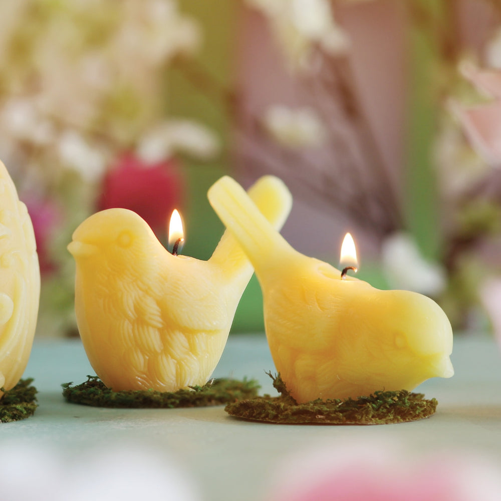 Beeswax Song Bird Candles