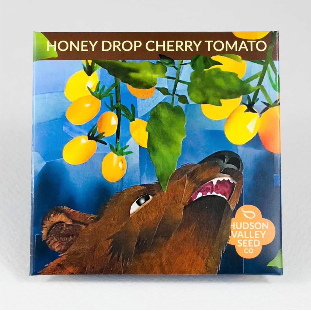 Honey Drop Cherry Tomato - Hudson Valley Seed Co