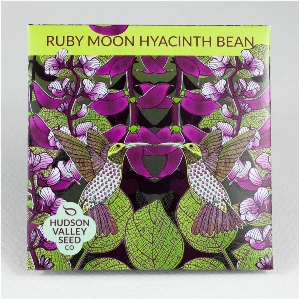 Ruby Moon Hyacinth Bean - Hudson Valley Seed Co