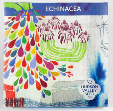 Echinacea