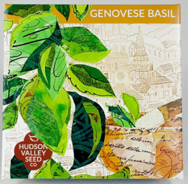 Genovese Basil