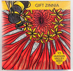Gift Zinnia