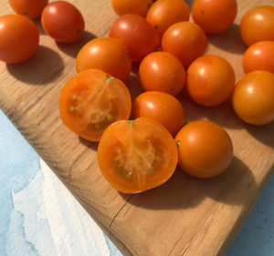 Honey Drop Cherry Tomato