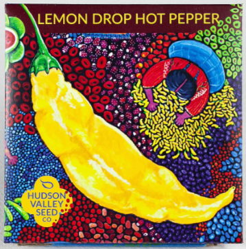 Lemon Drop Hot Pepper