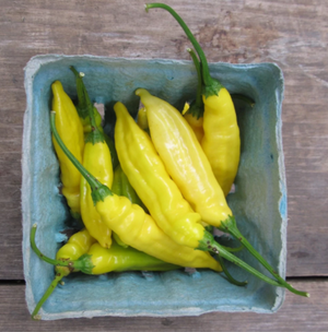 Lemon Drop Hot Pepper