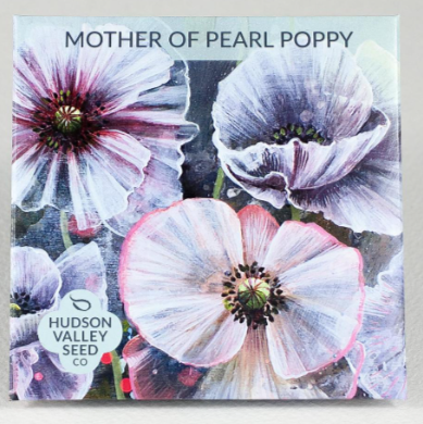 Mother of Pearl Poppy
