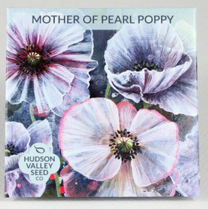 Mother of Pearl Poppy