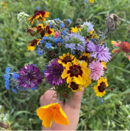 Bee Nectary Mix