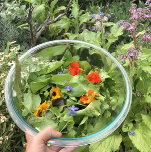 Edible Flower Mix