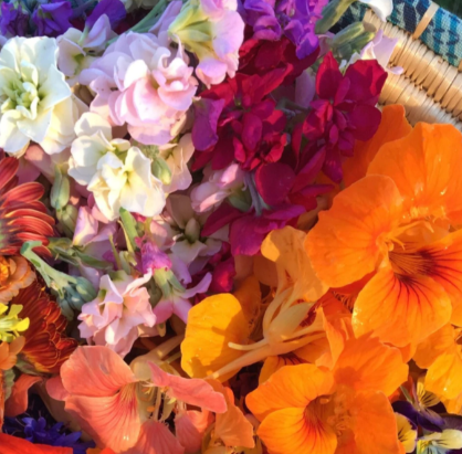 Edible Flower Mix