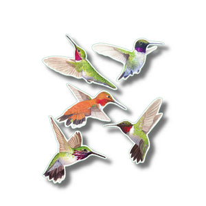 Hummingbirds Sticker