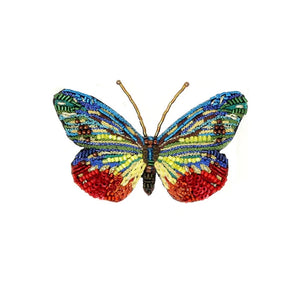 Cepora Butterfly Brooch Pin