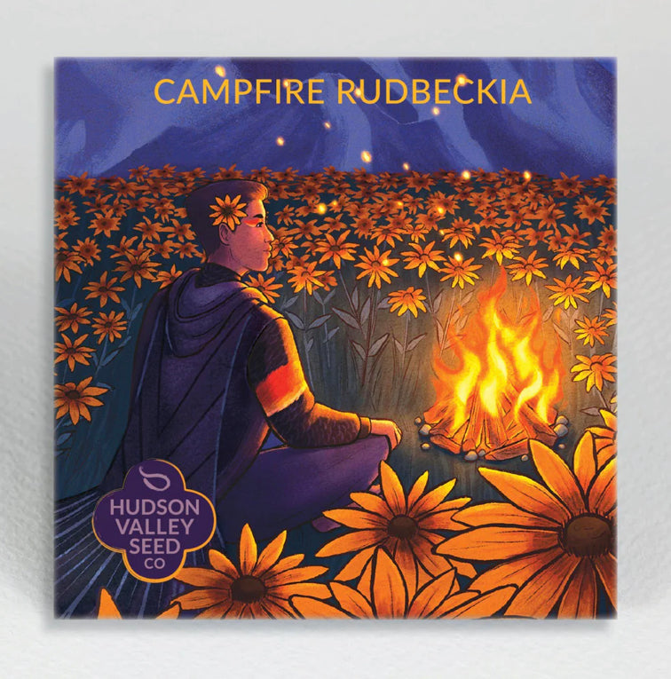 Campfire Rudbeckia - Hudson Valley Seed Co
