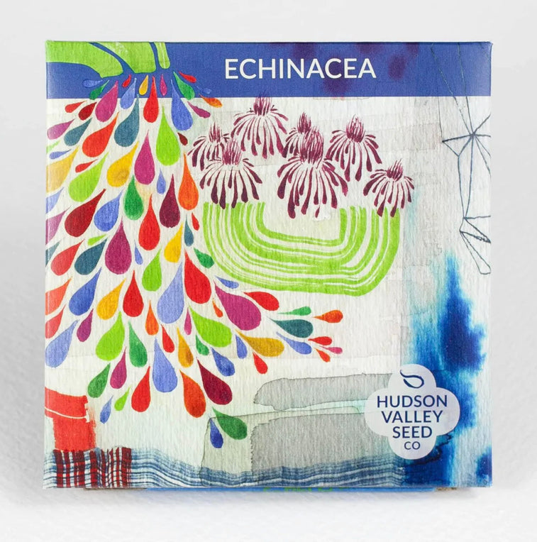 Echinacea - Hudson Valley Seed Co