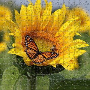 Jigsaw Puzzles - Zen Art