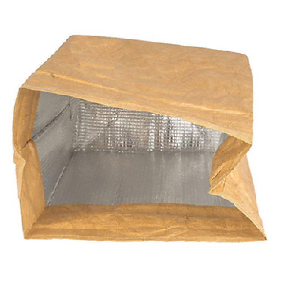 Tyvek Reusable Lunch Bag