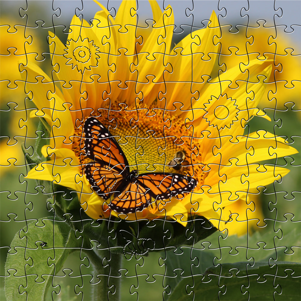 Jigsaw Puzzles - Zen Art