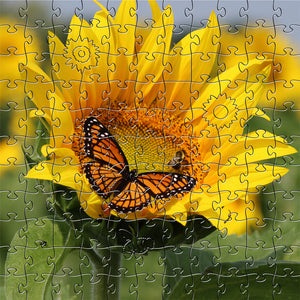 Jigsaw Puzzles - Zen Art