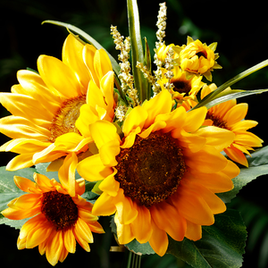 
            
                Load image into Gallery viewer, Sunflower Bouquet
            
        